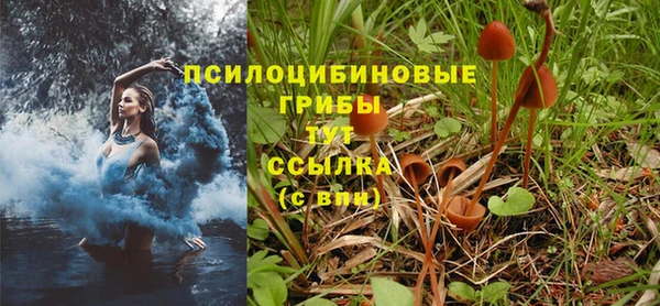 героин Алзамай