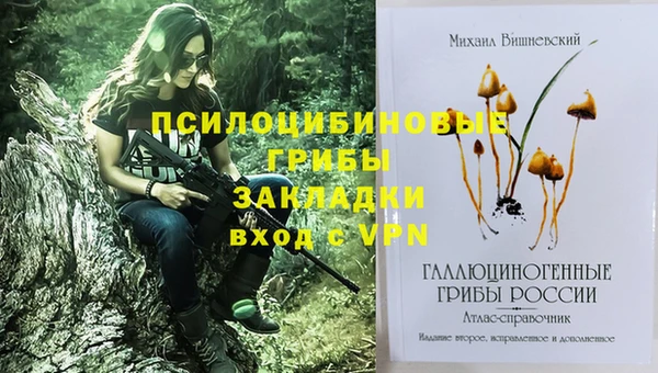 героин Алзамай