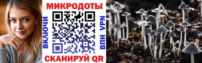 Псилоцибиновые грибы мухоморы  дарнет шоп  блэк спрут ONION  нарко площадка как зайти  Заводоуковск 