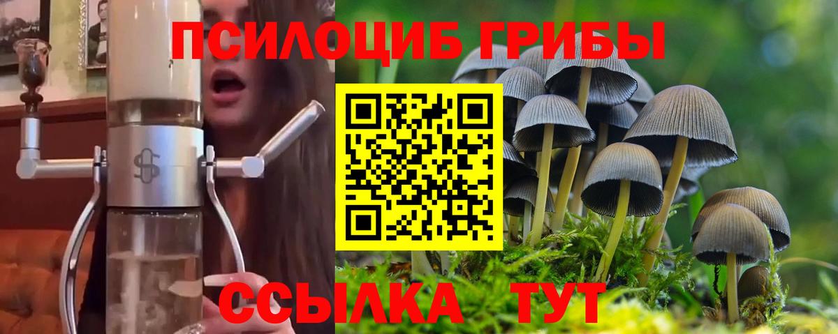 Заводоуковск  Псилоцибиновые грибы MAGIC MUSHROOMS  купить наркотики цена  Вход с VPN  Галлюциногенные грибы прущие грибы 