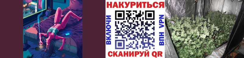 хочу наркоту  Заводоуковск  Бошки марихуана гибрид 